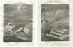 Shipwreck, Rescue Devices (2 prints), 1823