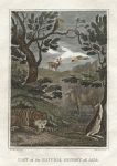 Tiger, Camel, Kangaroo etc., 1823