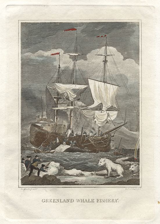 Whaling in Greenland, 1823