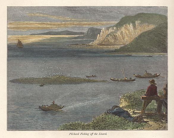 Cornwall, Pilchard Fishing off the Lizard, 1875