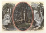USA, PA, Scenes in and about Milford, 1875