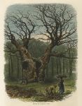 Berkshire, Windsor Park, William the Conqueror's Oak, 1875