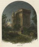 Ireland, Co.Cork, Blarney Castle, 1875