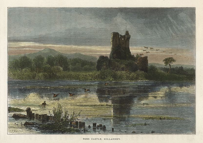 Ireland, Killarney, Ross Castle, 1875