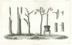 Tree Grafting (farming), 1849