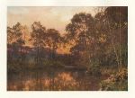 Surrey, The Last Glow (sunset), 1906