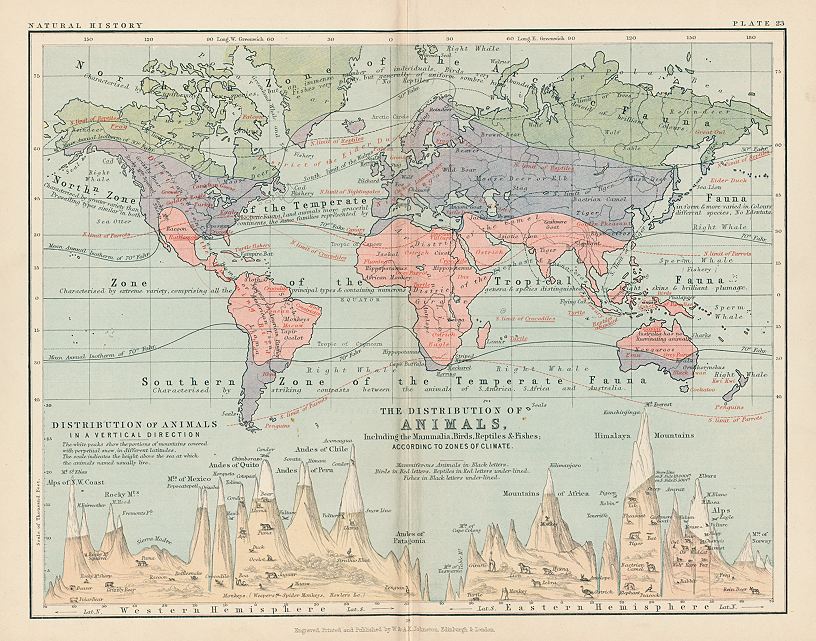 The World, Distribution of Animals, 1892