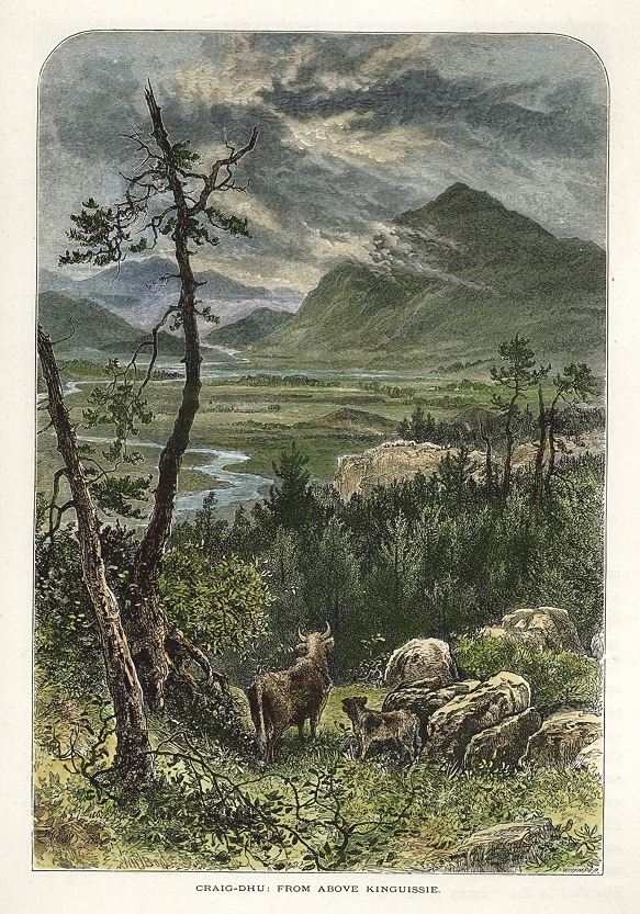 Scotland, Craig-Dhu, from above Kinguissie, 1875