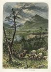 Scotland, Craig-Dhu, from above Kinguissie, 1875
