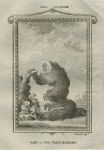 Saki or Fox Tailed Monkey, after Buffon, 1785