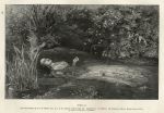 Ophelia, wood engraving after Millais, 1893