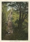 Isle of Wight, Carisbrook Castle Keep stairs, 1875