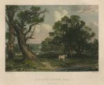 Scotland, Scene in Cadyow Park (Cadzow), 1840