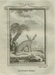 Anonymous Animal, after Buffon, 1785