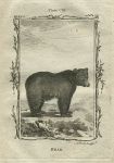 Bear, after Buffon, 1785