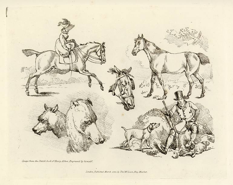 Horse, female equestrian, hunter with gun and dogs, Alkens Scrapbook, 1821