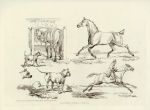 Horses, bulldog & rider, Alkens Scrapbook, 1821