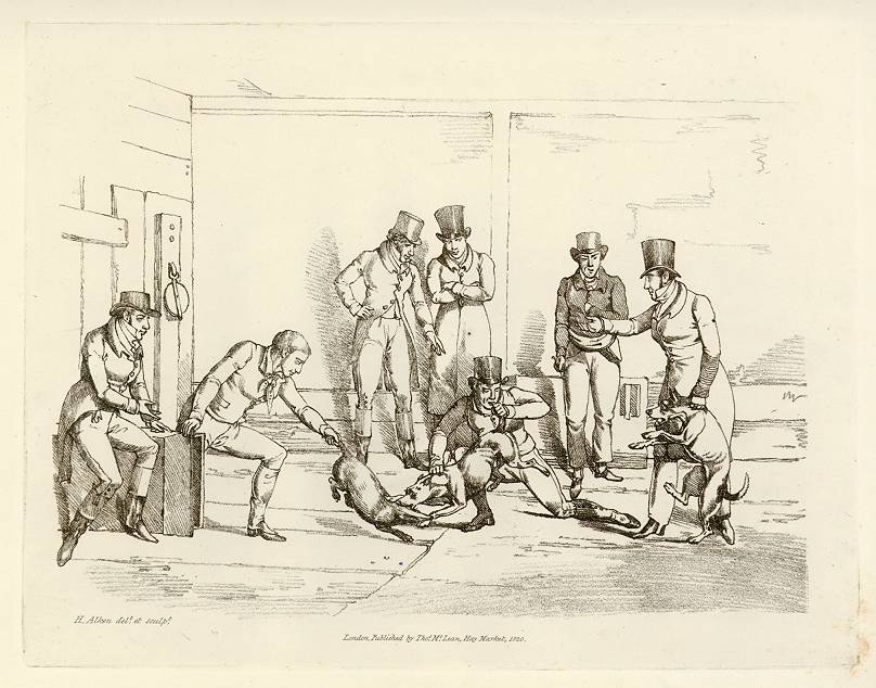 Badger baiting, Alkens Scrapbook, 1821