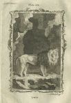 Lion, after Buffon, 1785