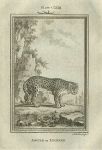 Jaguar or Leopard, after Buffon, 1785