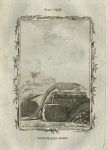 Long-Tailed Manis (pangolin), after Buffon, 1785