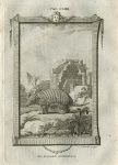 Six-Banded Armadillo, after Buffon, 1785