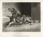 Waiting for the Countess (bloodhound), after Landseer, 1878