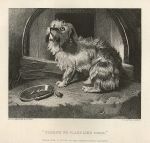 There's no place like Home (Terrier), after Landseer, 1878