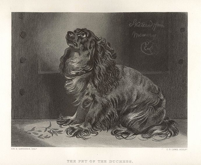 The Pet of the Duchess (King Charles Spaniel), after Landseer, 1876