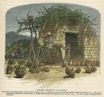 Holy Land, Pottery, Rasheiyet El Fukhar, 1875