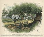 Golan Heights, Moslem Graves under the Oaks of Bashan, 1875