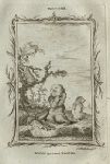 Young Three-Toed Sloths, after Buffon, 1785