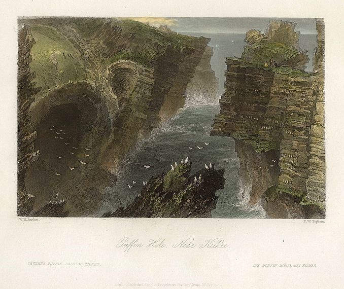 Ireland, Puffin Hole, near Kilkee, 1841