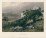Holy Land, Mount Tabor, 1880