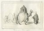 Arabia, Camels, 1847