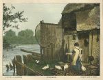 Oxfordshire, River Thames, feeding ducks, 1873