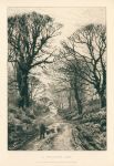 'A Middlesex Lane', etching by Frederick Slocombe, 1882