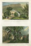 Scotland, Edinburgh, Regent Murray's Garden, two views, 1831