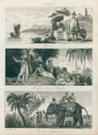 Chinese, Indian Hindoos & Persians, 1811