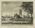 Ireland, Westmeath, Multyfarnham Abbey, 1786