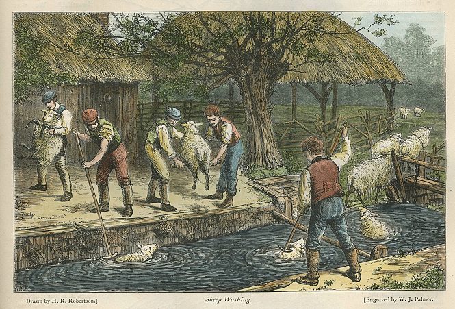 Oxfordshire, Sheep Washing, life on the Thames, 1874