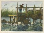 Oxfordshire, Eel-Bucks (traps), life on the Thames, 1874
