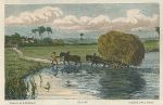 Oxfordshire, The Ford (hay cart), life on the Thames, 1874