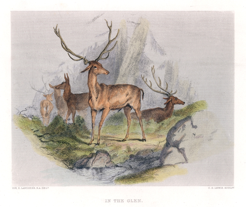 In the Glen, (stags), after Landseer, c1860