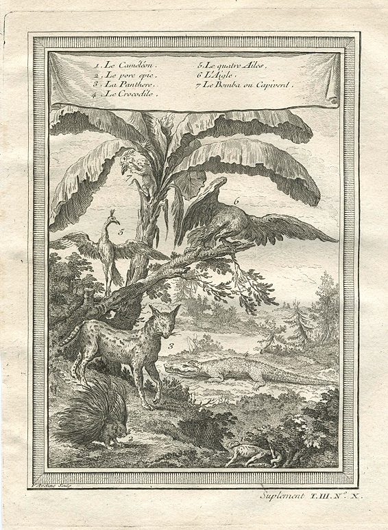 Africa, birds and animals including Crocodile, 1760