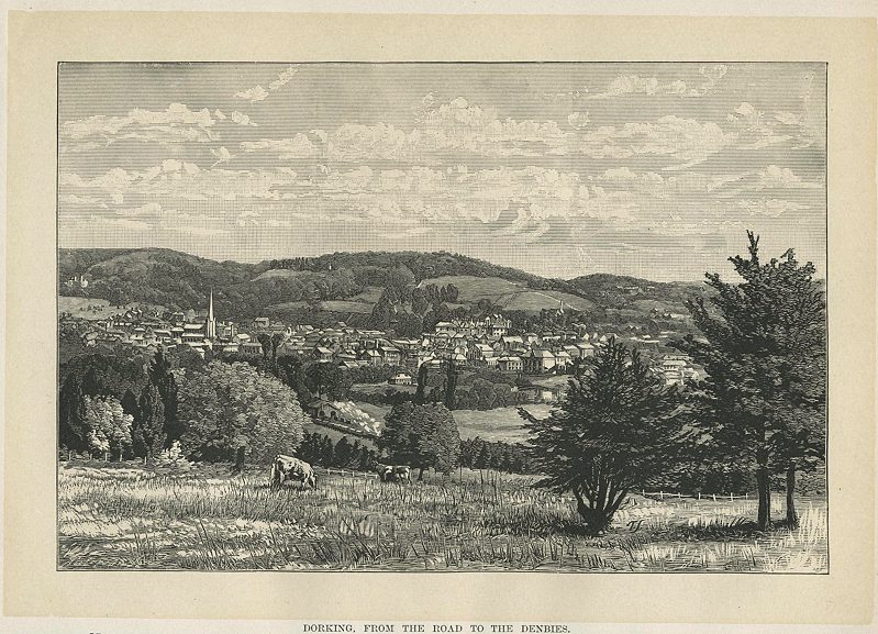 Surrey, Dorking, 1865