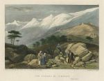 Lebanon, Cedars of Lebanon, 1836