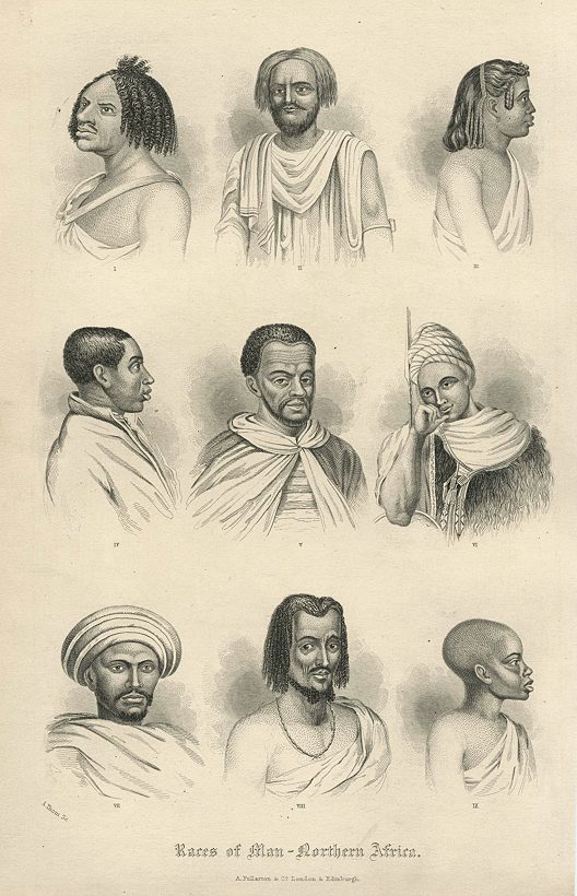 Races of Man - north African, 1856