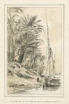Egypt, The Nile, date palms, 1876