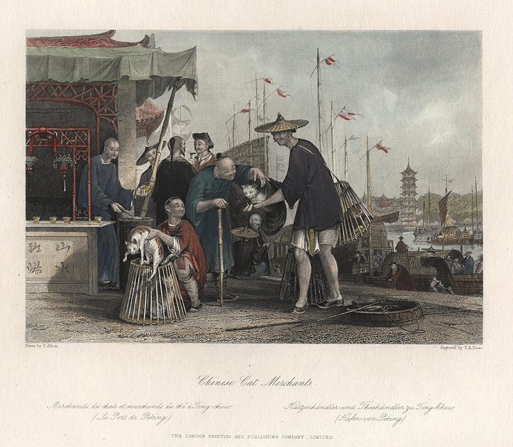 China, Cat Merchants & Tea Dealers in Tong-Chow, 1858
